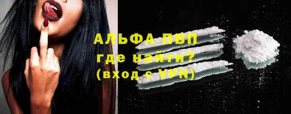 стафф Надым