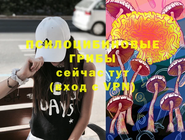 спиды Навашино