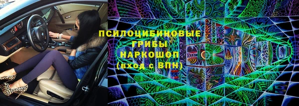 стафф Надым