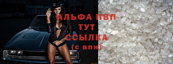 стафф Надым