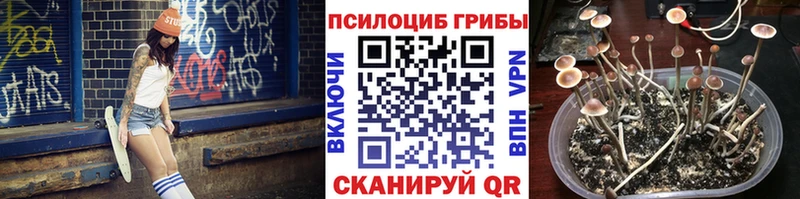 Псилоцибиновые грибы ЛСД  Купить закладки  Удомля 